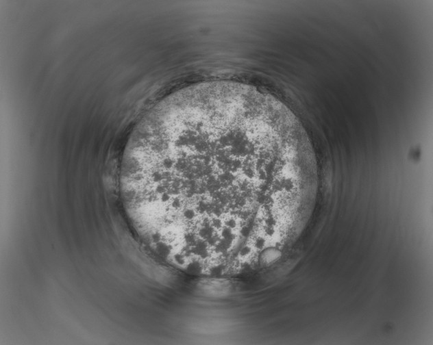 X0000115630181200912221257