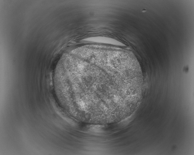 X0000115630182200912221257