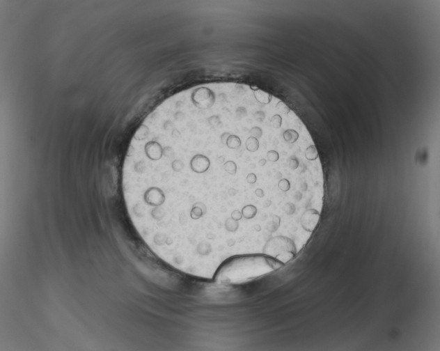 X0000115630183200912221257