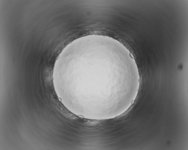 X0000115630186200912221257