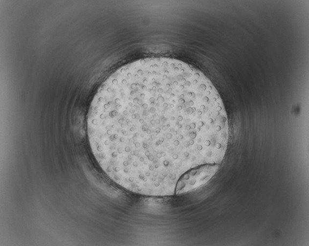 X0000115630187200912221257
