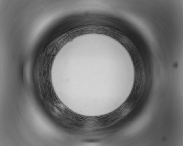 X0000115630189200912221257