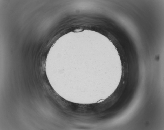 X0000115630190200912221257