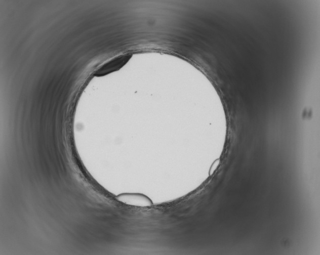 X0000115630193200912221256
