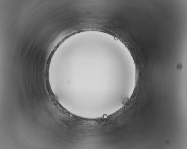 X0000115630195200912221256