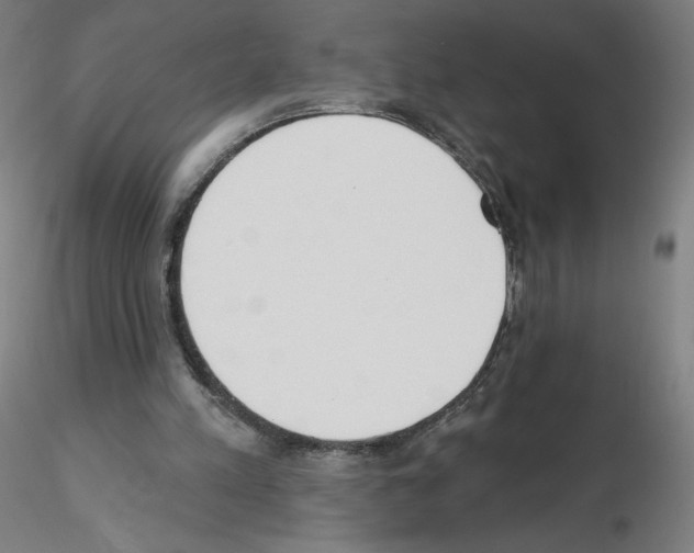 X0000115630197200912221256