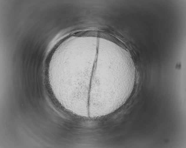 X0000115630198200912221256