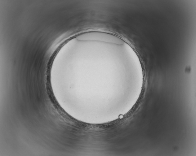 X0000115630199200912221256