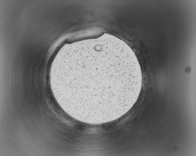 X0000115630200200912221256