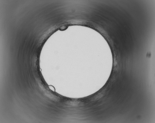 X0000115630201200912221256