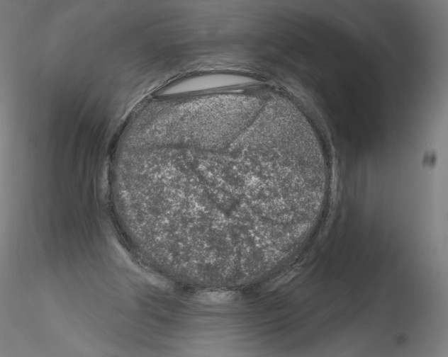 X0000115630202200912221256