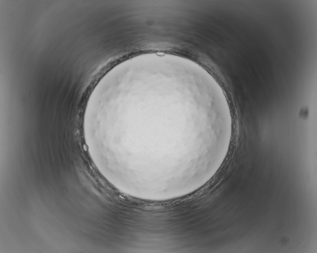X0000115630203200912221256