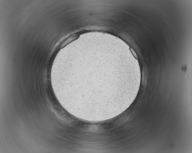X0000115630204200912221256