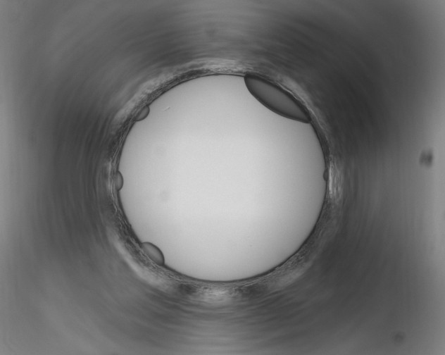 X0000115630205200912221256