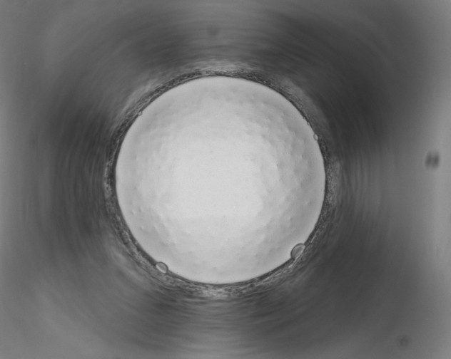 X0000115630207200912221256