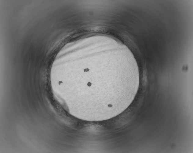 X0000115630210200912221256