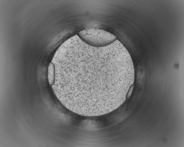 X0000115630211200912221256