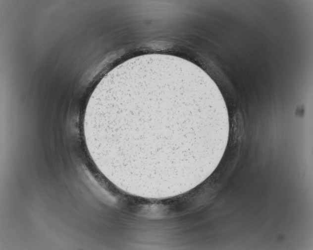 X0000115630212200912221256