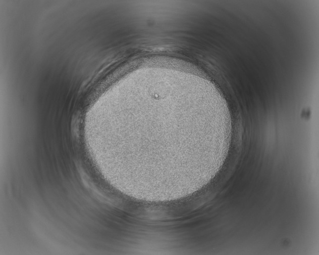 X0000115630214200912221256