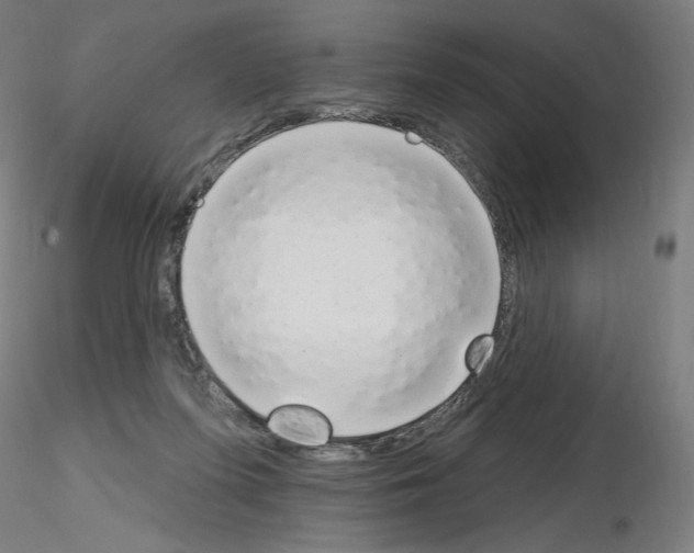 X0000115630215200912221256