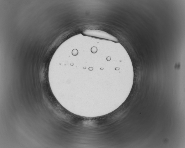 X0000115630216200912221256