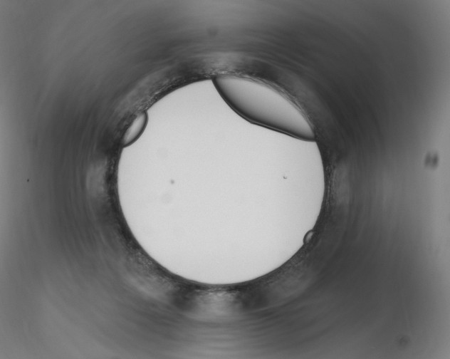 X0000115630217200912221256