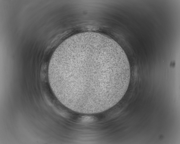 X0000115630218200912221256