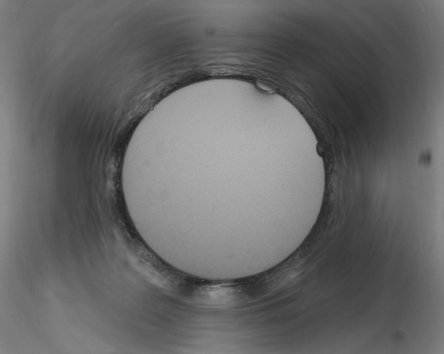 X0000115630219200912221256
