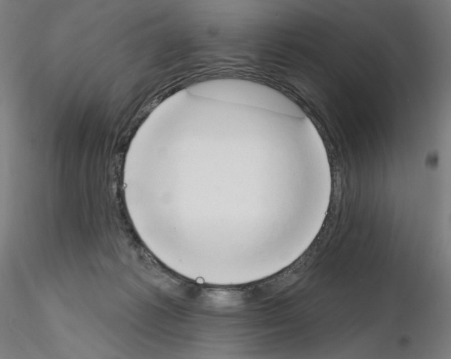 X0000115630221200912221256