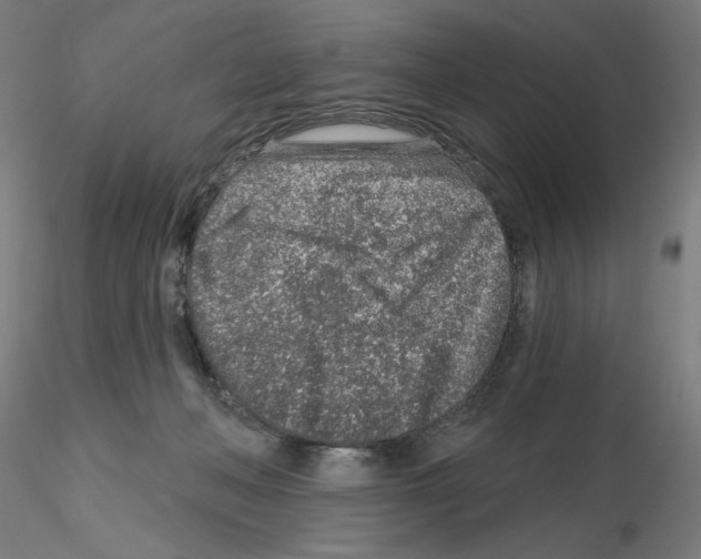 X0000115630222200912221256