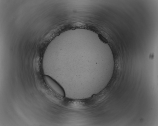 X0000115630223200912221256