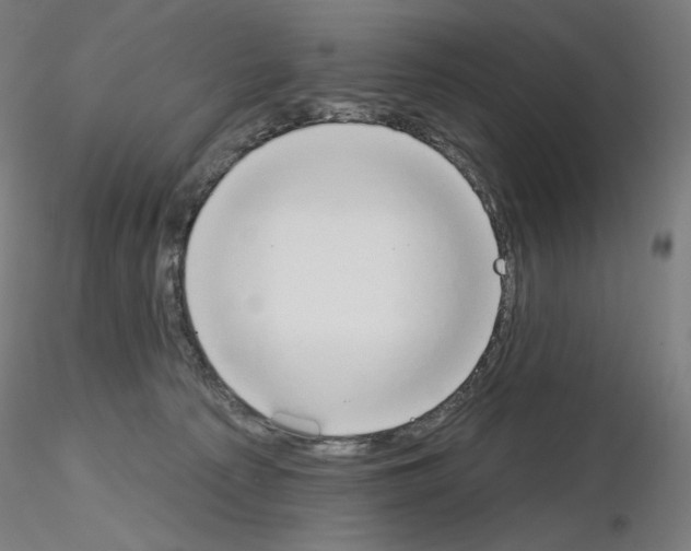X0000115630225200912221256