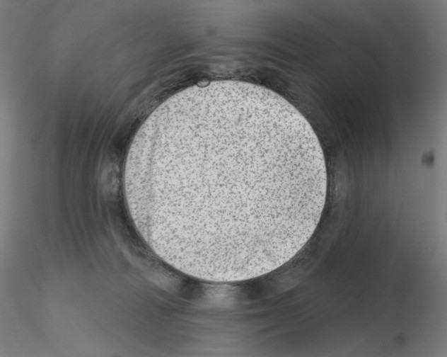 X0000115630226200912221256