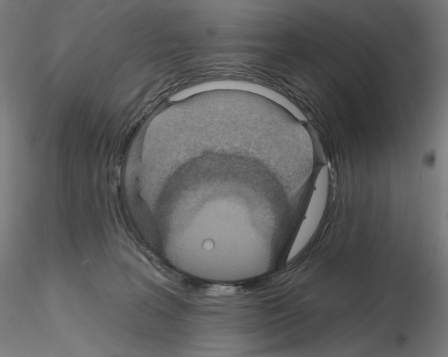 X0000115630227200912221256