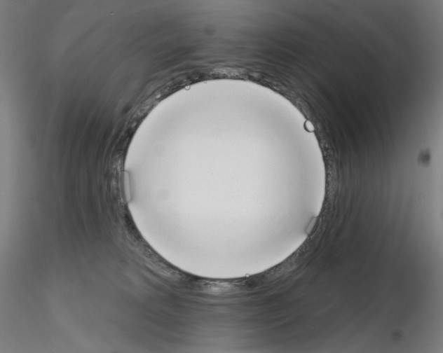 X0000115630229200912221256