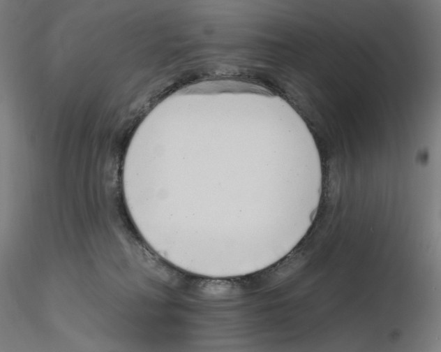 X0000115630230200912221256