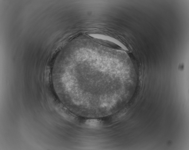 X0000115630231200912221256