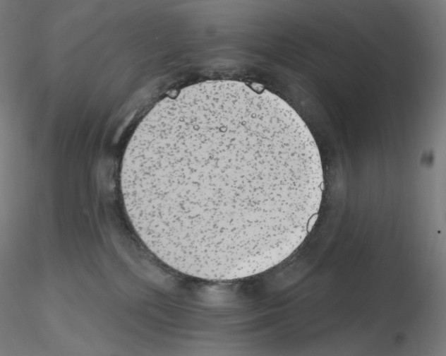 X0000115630232200912221256