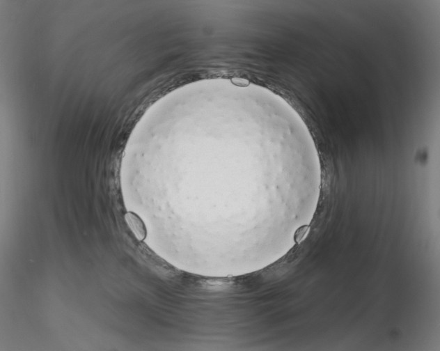 X0000115630233200912221256