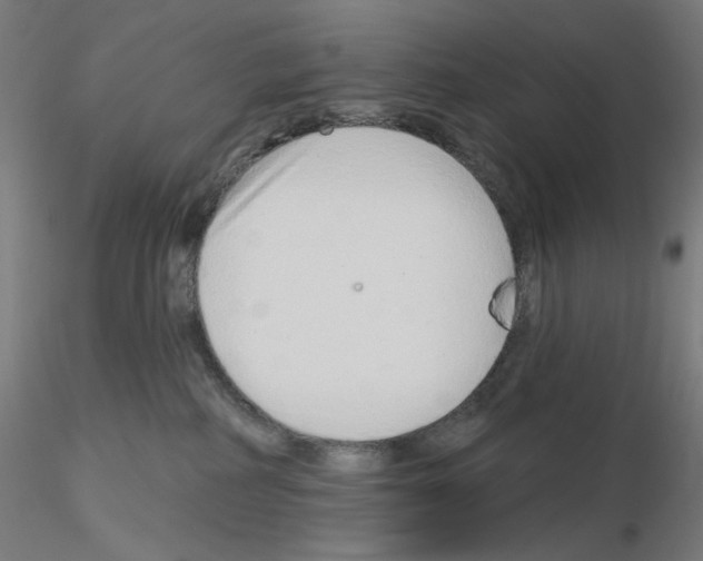 X0000115630234200912221256