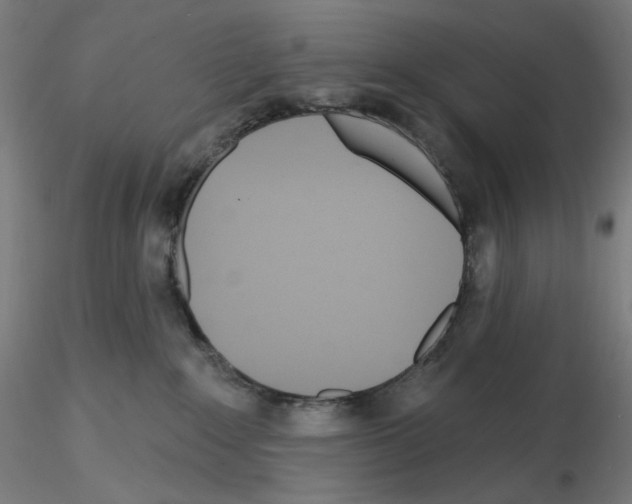 X0000115630235200912221256