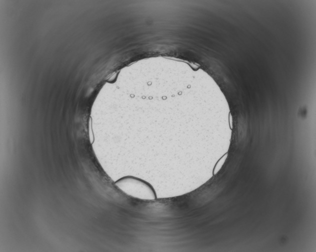 X0000115630236200912221256