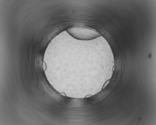 X0000115630238200912221256