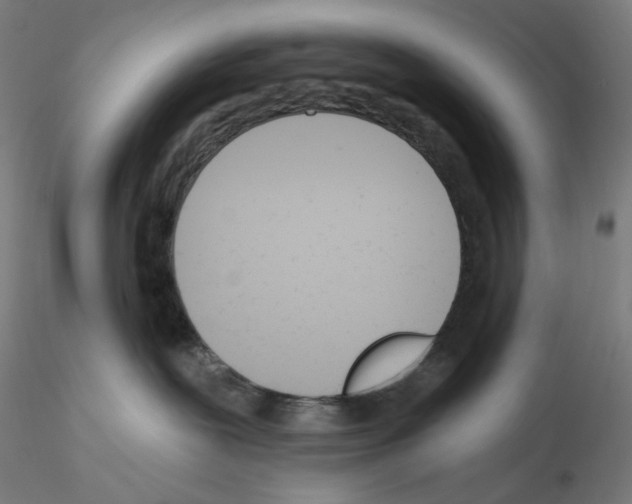 X0000115630239200912221255