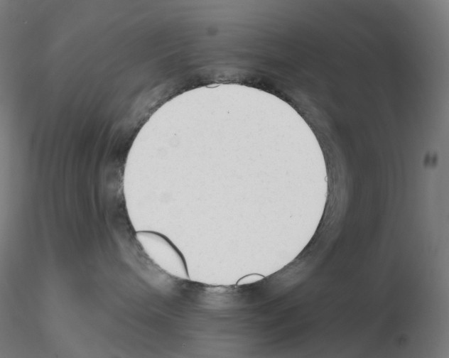 X0000115630240200912221255
