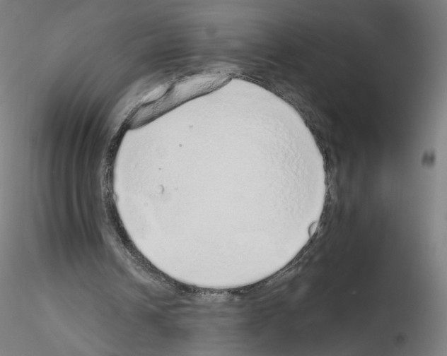 X0000115630242200912221255
