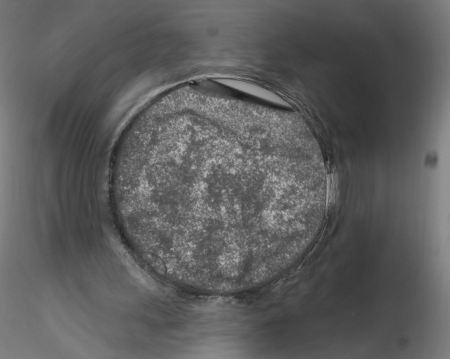 X0000115630243200912221255