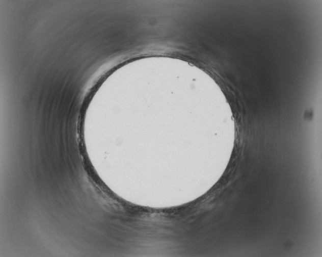 X0000115630244200912221255