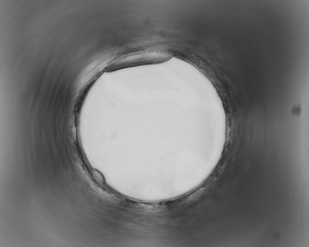 X0000115630245200912221255