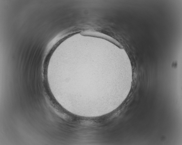 X0000115630246200912221255
